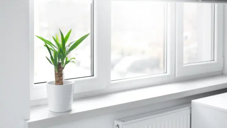 PVC stolarija Požega