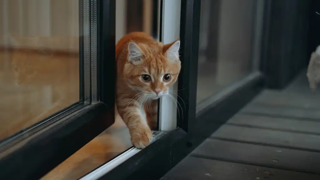 zamjena stolarije Kutina